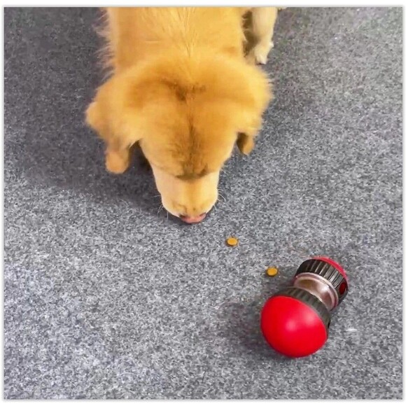 IQ Training Pet feeder for Cats and Dogs, slow feeder, treats - NEW - Picture 3 of 9